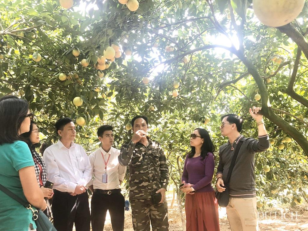 Đoàn khảo sát vườn cam, bưởi thôn Nam Điện, xã Nam Dương